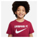 Dětský dres Liverpool FC Swoosh Y Jr model 17464801 - NIKE