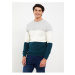 LC Waikiki Crew Neck Long Sleeve Color Block Men's Knitwear Sweater