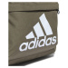 Detský batoh ADIDAS CLSC BOS BP-HR9810-Green