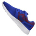 Pánske topánky Nike Kaishi Print M 705450-446