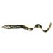 Savage gear gumová nástraha 3d real eel bulk lamprey php - 15 cm 12 g