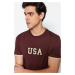 Trendyol hnedé pánske tričko s pravidelným/pravidelným strihom Detail Color Block 100% bavlnené 
