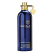 Montale Blue Amber - EDP 2 ml - vzorka s rozprašovačom