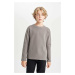 DEFACTO Boy Regular Fit Crew Neck Long Sleeve Basic Plain T-Shirt