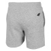 Chlapčenské teplákové kraťasy 4F JUNIOR BOYS-pants-HJL21-JSKMD001-27M-Grey