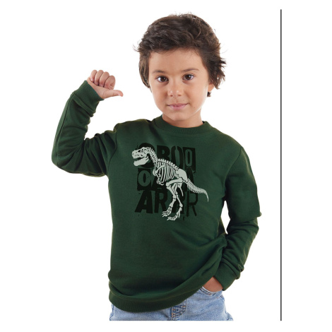 Denokids Roarr Dino Boy Khaki Sweatshirt