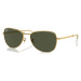 Ray-Ban RB3733 001/31 - (59-17-145)