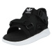 ADIDAS ORIGINALS Sandále '360 3.0'  modrá / čierna / biela