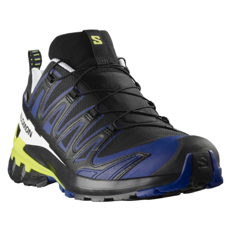 Salomon XA PRO 3D V9 GTX M L47832500