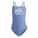 Plavky adidas Big Logo W IA3192