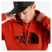 The North Face Peak Pullover Hoodie Rusted Bronze