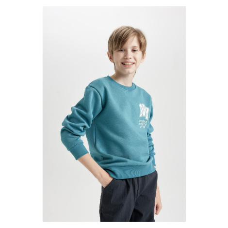 DEFACTO Boy Printed Crew Neck Thick Sweatshirt