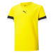 Puma teamRise Jersey Jr 704938 07