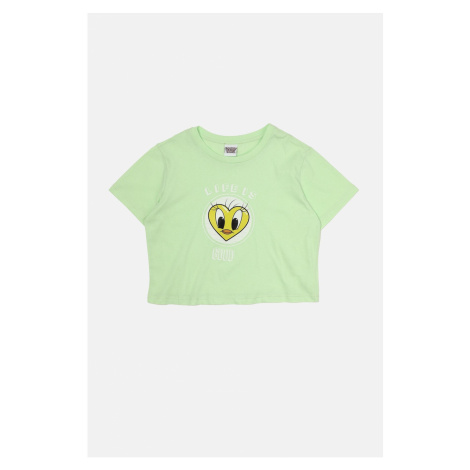 Trendyol Mint Tweety Licensed Printed Crop Knitted T-Shirt