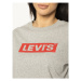 Levi's® Tričko Graphic Boxy Tee 85634-0007 Sivá Regular Fit