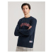 Diverse Men's sweatshirt CHESTCREW