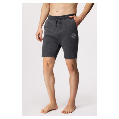 Pánske kraťasy a šortky Jack & Jones