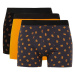 DEFACTO Pumpkin Printed 3-Pack Boxer