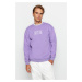 Trendyol Lilac Regular/Normal Cut Fleece/Warm Embroidered Sweatshirt