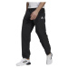 adidas STANFRD E PT Pánske športové nohavice, čierna, veľkosť