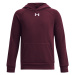 Boys' Under Armour Rival Fleece Hoodie