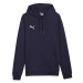 Puma Team Goal Casuals Hoody M 658618 06