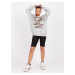 Sweatshirt-FA-BL-7667.84P-light gray