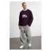 Trendyol Purple Oversize/Wide Cut Embroidered Fleece/Warm Sweatshirt