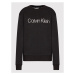 Calvin Klein Curve Mikina Inclusive Core Logo K20K203634 Čierna Regular Fit