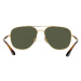 Ray-Ban RB3683 001/31 56