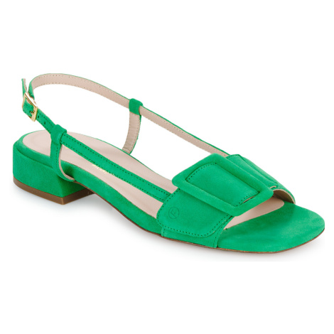 Fericelli  PANILA  Sandále Zelená