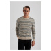 DEFACTO Standard Fit Patterned Crew Neck Sweater