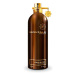 Montale Aoud Musk - EDP 100 ml