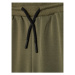 Calvin Klein Jeans Teplákové nohavice Shadow Logo IB0IB01010 Zelená Regular Fit