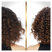 Pantene Hair Biology De-Frizz & Illuminate kondicionér pre suché a farbené vlasy