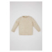 DEFACTO Baby Boy Crew Neck Sweater