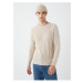 LC Waikiki Crew Neck Long Sleeve Men's Knitwear Sweater