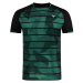 Men's T-shirt Victor T-23102 C Green