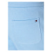 Tommy Hilfiger Športové kraťasy Logo MW0MW22198 Modrá Regular Fit