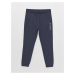 LC Waikiki Standard Fit Men's Jogger Sweatpants