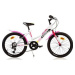 Dino Bikes 20 white