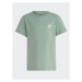 Adidas Tričko Adicolor T-Shirt IB9906 Zelená Regular Fit