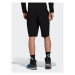 Adidas Športové kraťasy Terrex Zupahike Hiking Shorts H55930 Čierna Regular Fit