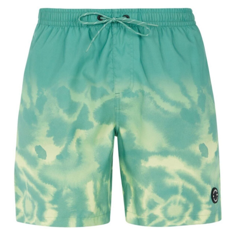 Men's beach shorts Protest PRTAGOR