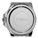 Timex Hodinky TW2V79600 Strieborná