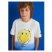 Modro-biele chlapčenské tričko s potlačou Desigual Carambola