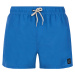 Men's beach shorts Protest PRTSTILO