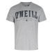 O'Neill STATE MUIR T-SHIRT Pánske tričko, sivá, veľkosť