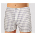 Men&#39;s shorts Andrie gray (PS 5448 A)