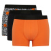 DEFACTO Regular Fit 3-Piece Boxer